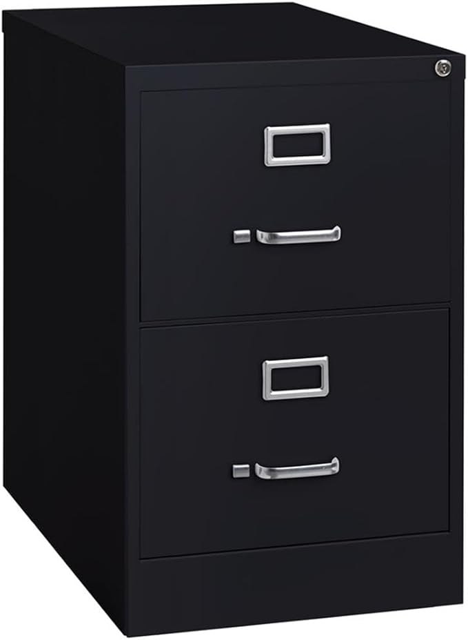 Scranton & Co 25" 2-Drawer Metal Legal Width Vertical File Cabinet in Black