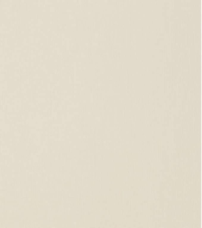LUXPaper 8.5" x 11" Cardstock | Letter Size | Natural Linen | 100lb. Cover (183lb. Text) | 500 Qty