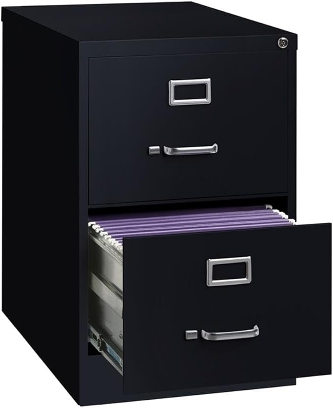 Scranton & Co 25" 2-Drawer Metal Legal Width Vertical File Cabinet in Black