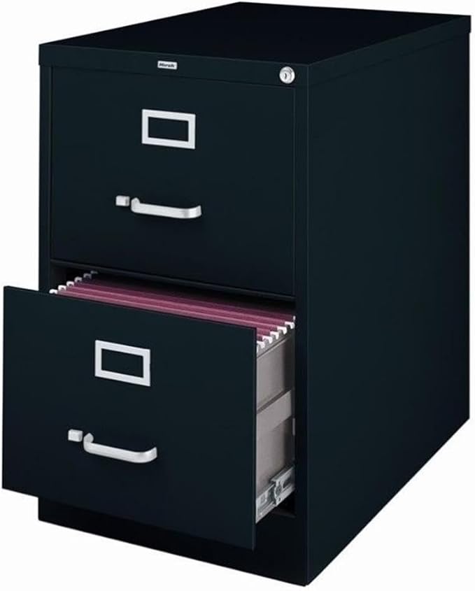 Scranton & Co 25" 2-Drawer Metal Legal Width Vertical File Cabinet in Black