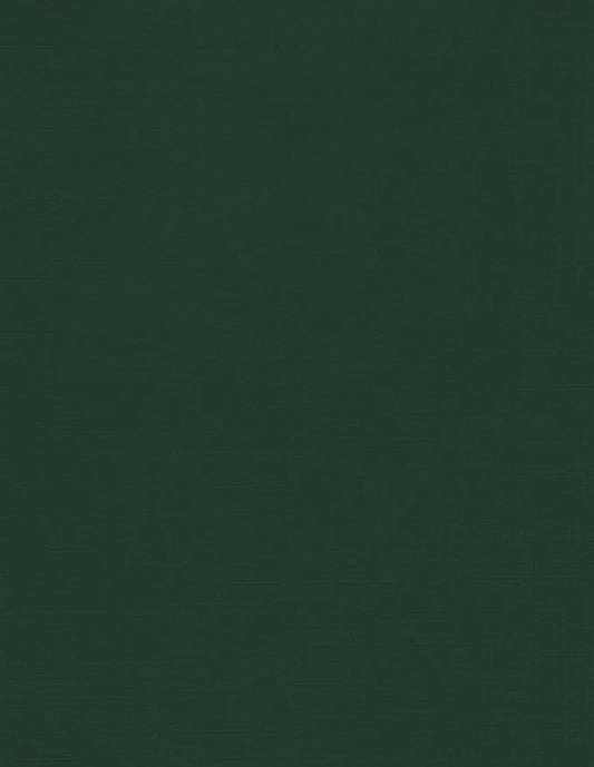 LUXPaper 8.5" x 11" Cardstock | Letter Size | Green Linen | 100lb. Cover (183lb. Text) | 500 Qty