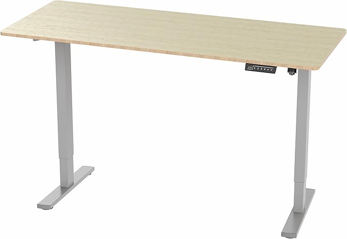 VIVO Electric 60 x 24 in Real Bamboo Standing Desk, Memory Height Adjustment, 1B Series, One-Piece Top, Gray Frame, DESK-KIT-1G6O