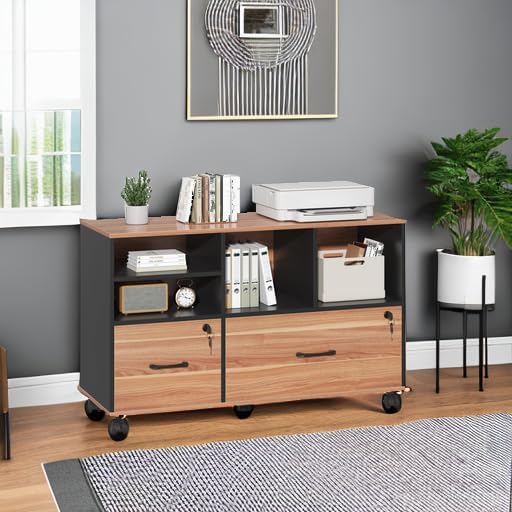 Semoic 2 Drawer File Cabinet for Home Office, Lockable Rolling Filing Cabinet with Adjustable Shelves, Wood Lateral File Cabinet with Lock, Printer Stand Office Storage Cabinet, Rustic Brown & Black