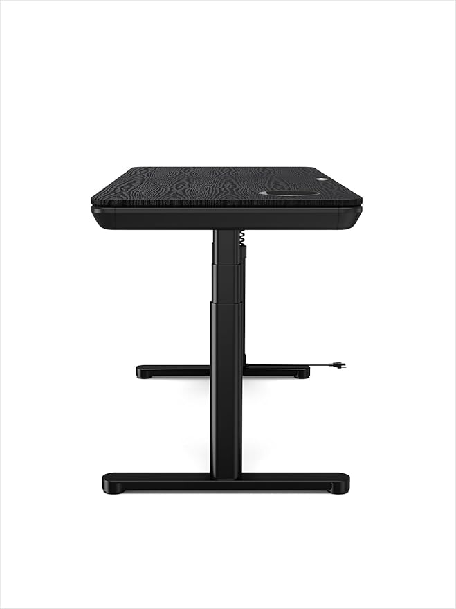Smart Executive Electric Standing Desk, Wireless Charging, with Storage Drawer, Hidden Power Strip, Black