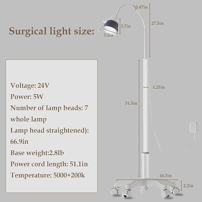 Surgical Examination Light Lamp 5W/12W Floor Stand Type Medical Exam Lamp, w/Universal Wheels Mobile Shadow Less Flexible Gooseneck LED Exam(5W Basic Inspection Light)