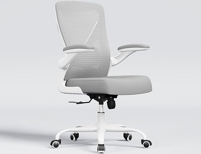 Ergonomic Office Chair with Lumbar Support - Adjustable Computer Desk Chairs for Home Office, Gaming, and Work - Comfortable and Supportive Desk Chairs for Adults(Grey Silver)
