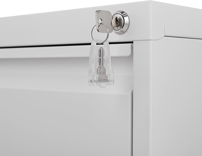 4 Drawer File Cabinet with Lock,Heavy Duty Vertical Filing Cabinets for Home Office, File Storage Cabinet for Letter/Legal/A4/F4 Size File,Assembly Required