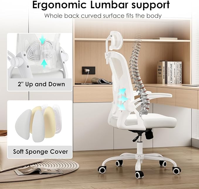 Farini Ergonomic Office Chair, Home Office Desk Chair with Headrest, High Back Computer Chair with Armrests and Adjustable Lumbar Support for Home Office Study Room, White & White