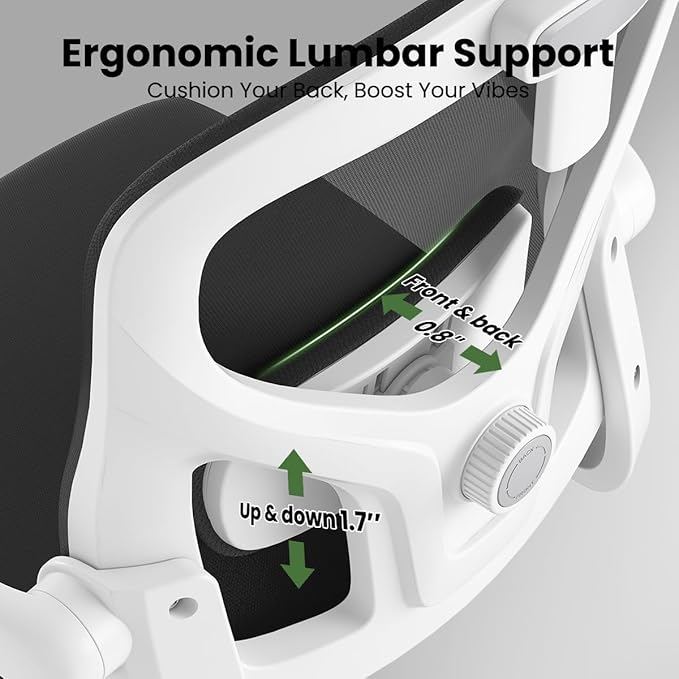 Soohow Ergonomic Office Chair, Office Mesh Desk Chair with Adjustable Lumbar Support Armrests, Comfy Computer Desk Chair with Headrest, for Home and Office, White & Black