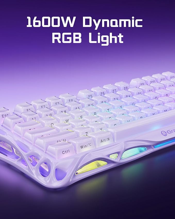 GravaStar Mercury V75 Gaming Keyboard – Hall‑Effect Magnetic‑Switch Keyboard, 79‑Key, 8000 Hz Polling, 0.005RT, Wired USB-C, RGB Backlit, Adjustable Actuation, Semi‑Aluminum Chassis (Lavender Purple)