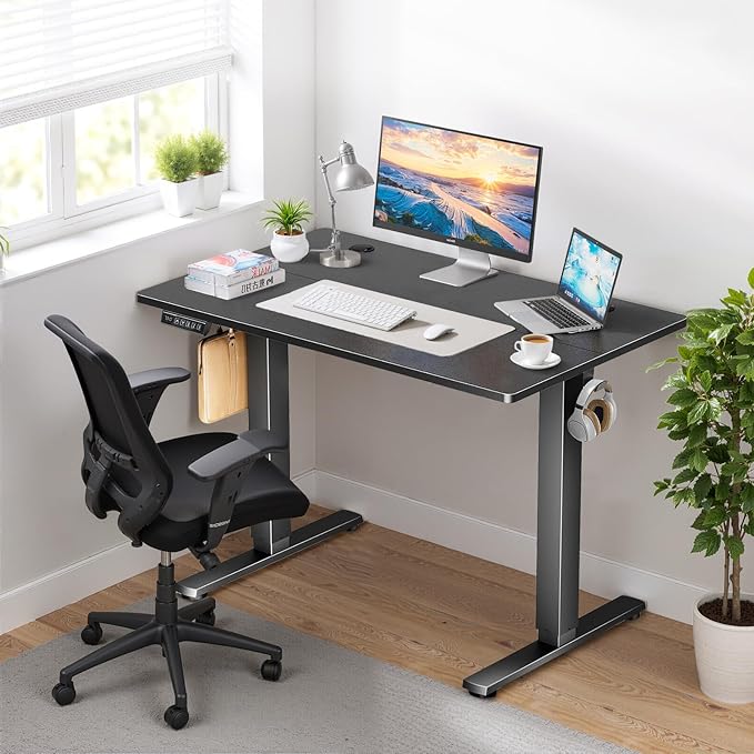 48 x 24 in Electric Standing Desk - Memory Height Adjustable Ergonomic Sit-to-Stand Rising Computer Table Gaming Workstations with 2 Hooks and Wire Hole for Home Office, Black