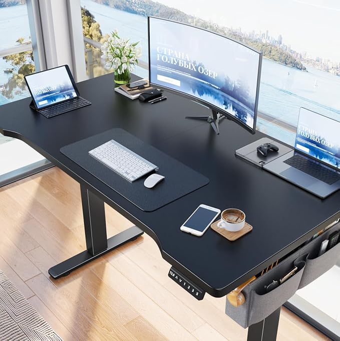EnHomee 55 x 24 Inches Electric Standing Desk with Light Strip, Stand up Desk with Memory Preset, Height Adjustable Desks for Work Home Office, Computer Desks with Detachable Side Mount Pocket, Black