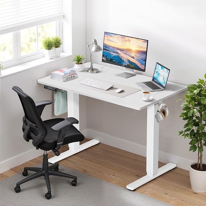 55 x 24 in Electric Standing Desk - Memory Height Adjustable Ergonomic Sit-to-Stand Rising Computer Table Gaming Workstations with 2 Hooks and Wire Hole for Home Office, White