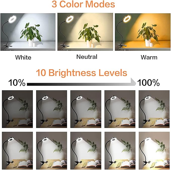 Clip on Light LED Reading Book Study Lamp 3 Color Modes 10 Brightness Eye Protection 360° Flexible Gooseneck Student Dormitory Office Desk Lamp at Night in Bed
