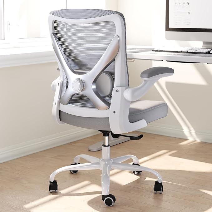 Ergonomic Office Chair with Lumbar Support - Adjustable Computer Desk Chairs for Home Office, Gaming, and Work - Comfortable and Supportive Desk Chairs for Adults(Grey Silver)