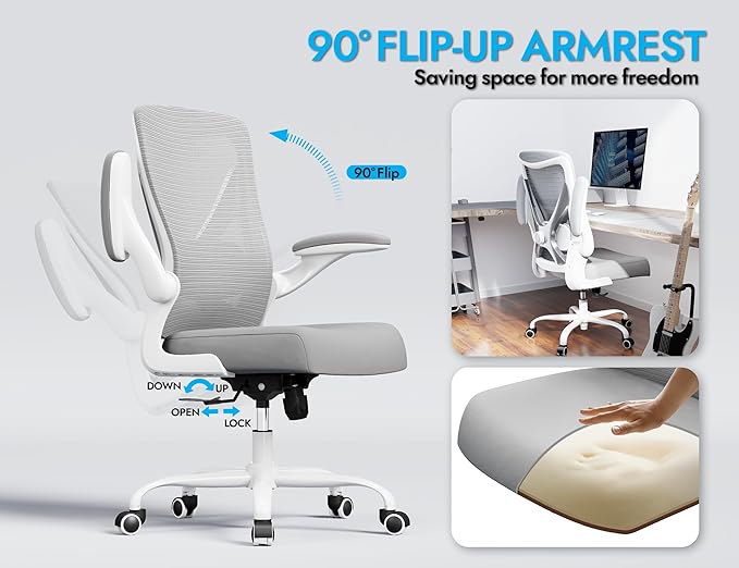 Ergonomic Office Chair with Lumbar Support - Adjustable Computer Desk Chairs for Home Office, Gaming, and Work - Comfortable and Supportive Desk Chairs for Adults(Grey Silver)
