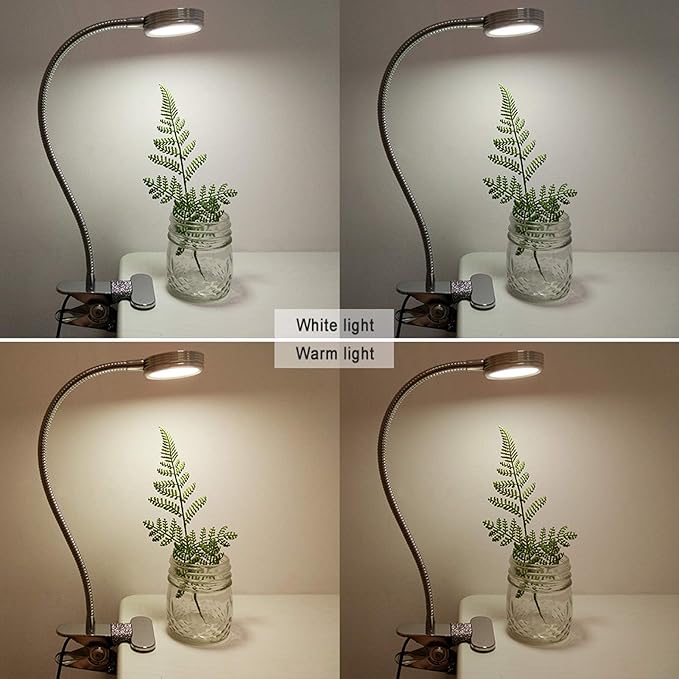 LEPOWER Clip on Light/Reading Light/Book Lights/Desk Lamp Color Changeable/Night Lights Clip on for Desk, Bed Headboard and Computers, Adapter Included, Silver