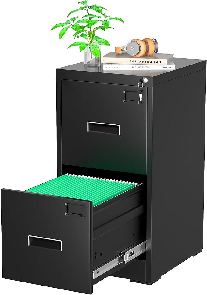 Greenvelly 2 Drawer File Cabinet with Lock, Black Metal Vertical Filing Cabinet for Home Office Fit Legal/Letter/A4/F4 Size with Hanging Bars&Key