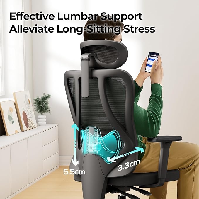Hbada P3 Pro Ergonomic Office Chair with 2D Adjustable Lumbar Support, Office Desk Chair with 3D Adjustable Headrest and Armrests, 135° Stepless Tilt Function, Black(No Footrest)