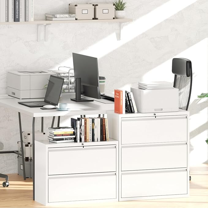 Greenvelly 2 Drawer Filing Cabinet, White Lateral File Cabinet with Lock, Metal File Cabinets with Adjustable Hanging Bars&2 Keys, Locking File Cabinet for Home Office, Legal/F4/Letter, Etc