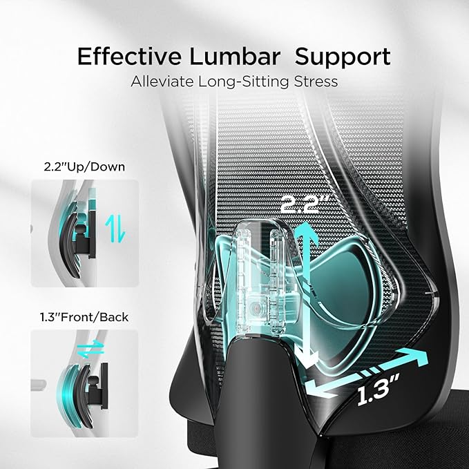 Hbada P3 Pro Ergonomic Office Chair with 2D Adjustable Lumbar Support, Office Desk Chair with 3D Adjustable Headrest and Armrests, 135° Stepless Tilt Function, Black(No Footrest)