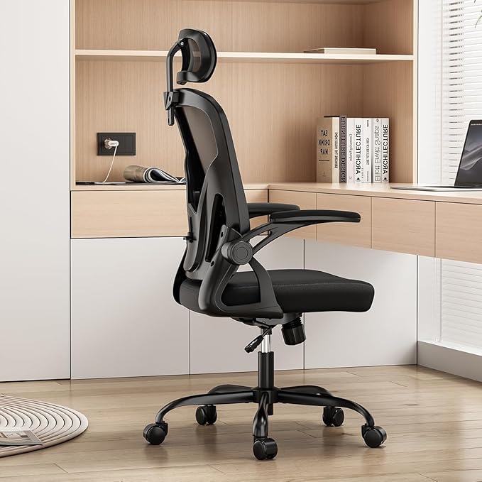 Farini Ergonomic Office Chair, Home Office Desk Chair with Headrest, High Back Computer Chair with Armrests and Adjustable Lumbar Support for Home Office Study Room, Black & Dark Black