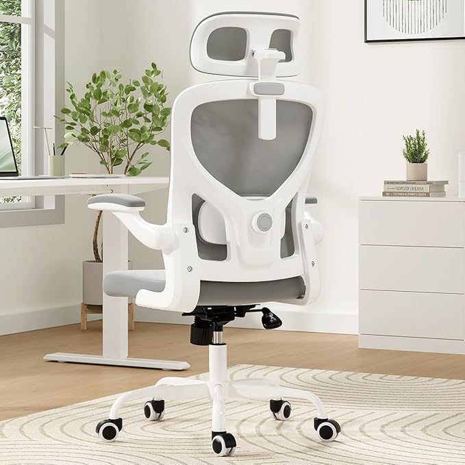 Soohow Ergonomic Office Chair, Office Mesh Desk Chair with Adjustable Lumbar Support Armrests, Comfy Computer Desk Chair with Headrest, for Home and Office, White & Grey