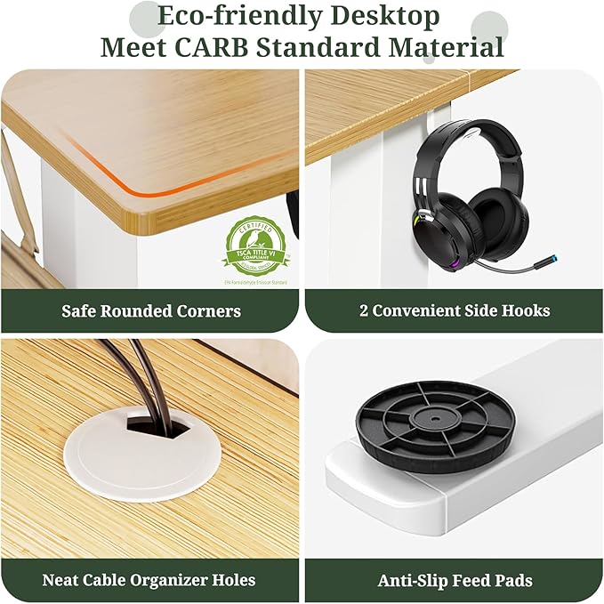 48 x 24 in Electric Standing Desk - Memory Height Adjustable Ergonomic Sit-to-Stand Rising Computer Table Gaming Workstations with 2 Hooks and Wire Hole for Home Office, Natural