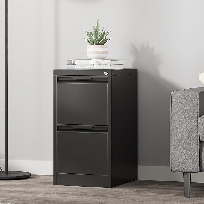 Coolsun 2 Drawer Vertical File Cabinet with Lock, Metal Filing Cabinet for Home Office, Locking File Cabinet for A4/F4/Legal/Letter, Assembly Required (Black, 2 Drawer)