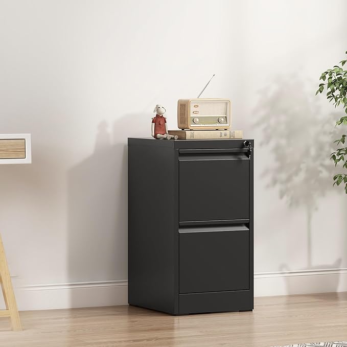 2-Drawer Locking Vertical File Cabinet, Metal Storage Cabinet for Office/Home – Secure Vertical Filing for Letter/Legal/A4/F4 Documents, Easy to Assemble Steel Cabinet, Black (Black, 2 Drawer-28 H)