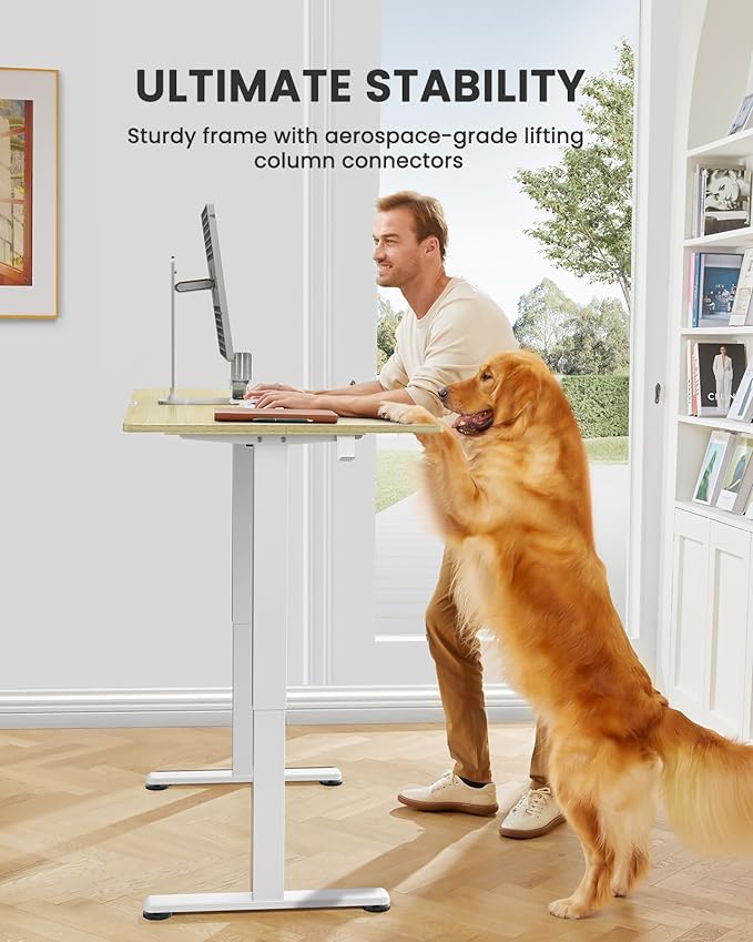 ErGear Height Adjustable Electric Standing Desk, 63 x 28 Inches Sit Stand up Desk, Large Memory Computer Home Office Desk with Two-Piece Desktop (Natural)