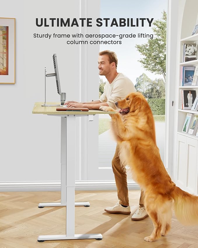 ErGear Electric Standing Desk, 44 x 24 Inches Height Adjustable Stand up Desk, Sit Stand Home Office Desk, with Two-Piece Desktop (Natural)