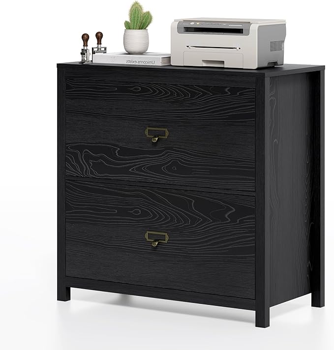 Wood File Cabinet, Modern Large Vertical File Cabinet with 2 Drawers, Adjustable Hanging File Folders, for A4, Legal, Letter Sized Documents for Home Office Black