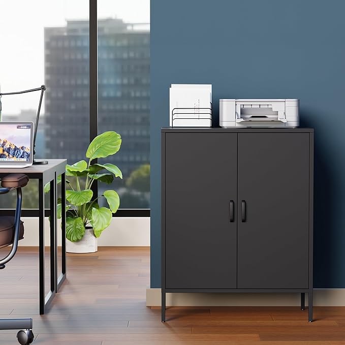 2 Door Metal Storage Cabinet with 2 Shelves, 3 Tier Garage Storage Locker Cabinet for Home, Entryway, Hallway and Office, Assembly Required, Black, (LC-CSG)