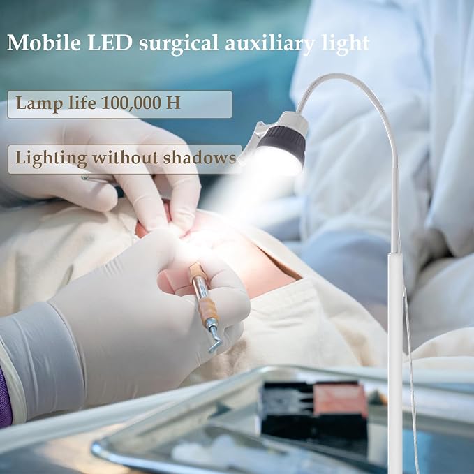Surgical Examination Light Lamp 5W/12W Floor Stand Type Medical Exam Lamp, w/Universal Wheels Mobile Shadow Less Flexible Gooseneck LED Exam(5W Basic Inspection Light)