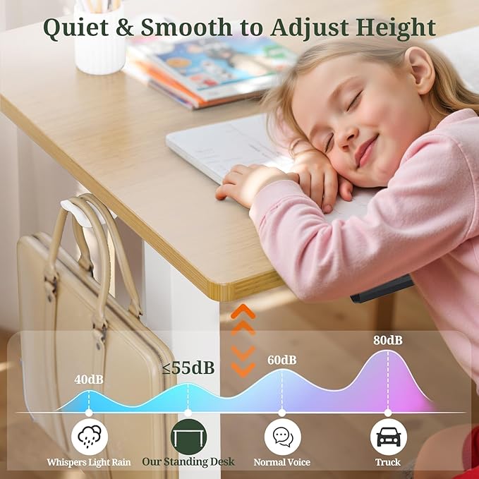 48 x 24 in Electric Standing Desk - Memory Height Adjustable Ergonomic Sit-to-Stand Rising Computer Table Gaming Workstations with 2 Hooks and Wire Hole for Home Office, Natural