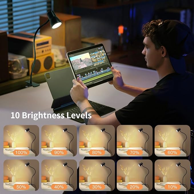 LUJOLUMIN Clip Desk Lamp, USB Reading Light, Flexible Neck Led Clamp Light with 3 Color Temperature Options, 10 Dimmable Brightness Levels for Working, Studying (8W)
