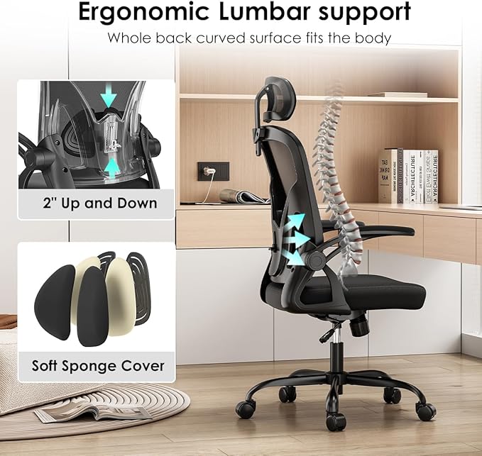 Farini Ergonomic Office Chair, Home Office Desk Chair with Headrest, High Back Computer Chair with Armrests and Adjustable Lumbar Support for Home Office Study Room, Black & Dark Black