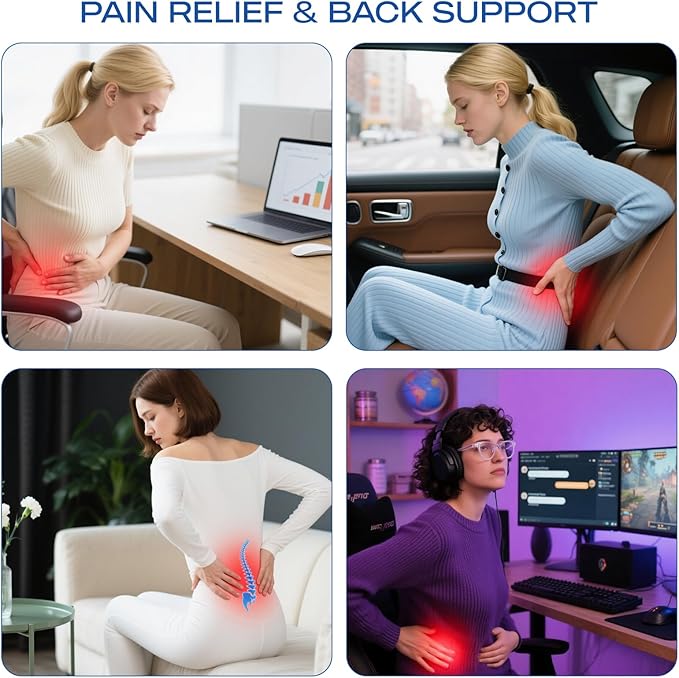 Skechers Lumbar Support Pillow for Office Chair,Memory Foam Lumbar Pillow,Lower Back Pain Relief Lumbar Pillow,Ergonomic Design Back Support Pillow for Office Chair,Car,Home,Travel,Purpie