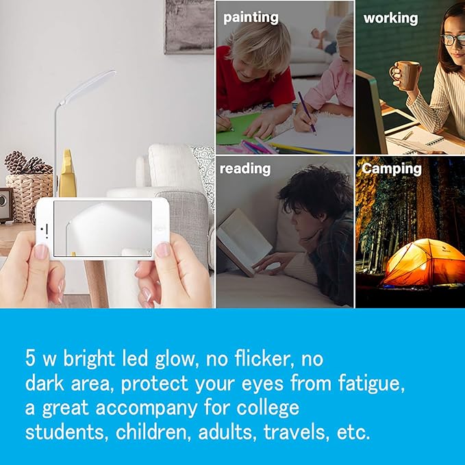DEEPLITE LED Desk Lamp with Flexible Gooseneck 3 Level Brightness, Battery Operated Table Lamp 5W Touch Control, Compact Portable lamp for Dorm Study Office Bedroom(Set of 2)