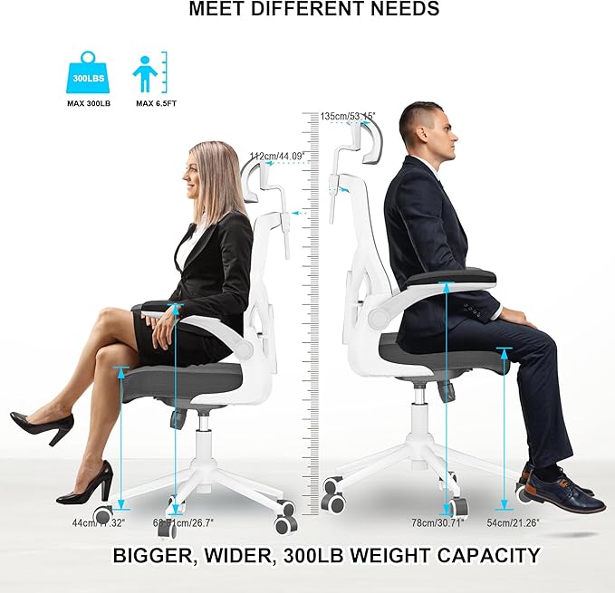 Ergonomic Office Chair with Adjustable Headrest & Lumbar Support - High Back Desk Chair with Flip-Up Arms, 360 Swivel Executive Computer Task Chair (Modern, Black-White Frame)