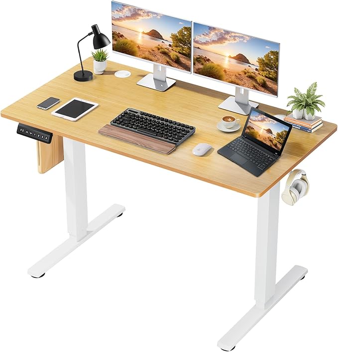 48 x 24 in Electric Standing Desk - Memory Height Adjustable Ergonomic Sit-to-Stand Rising Computer Table Gaming Workstations with 2 Hooks and Wire Hole for Home Office, Natural