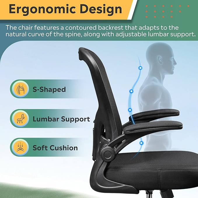 DEVAISE Office Chair, Ergonomic Computer Desk Chair with Flip-up Armrests, Comfy Mesh with Adjustable Lumbar Support, Black