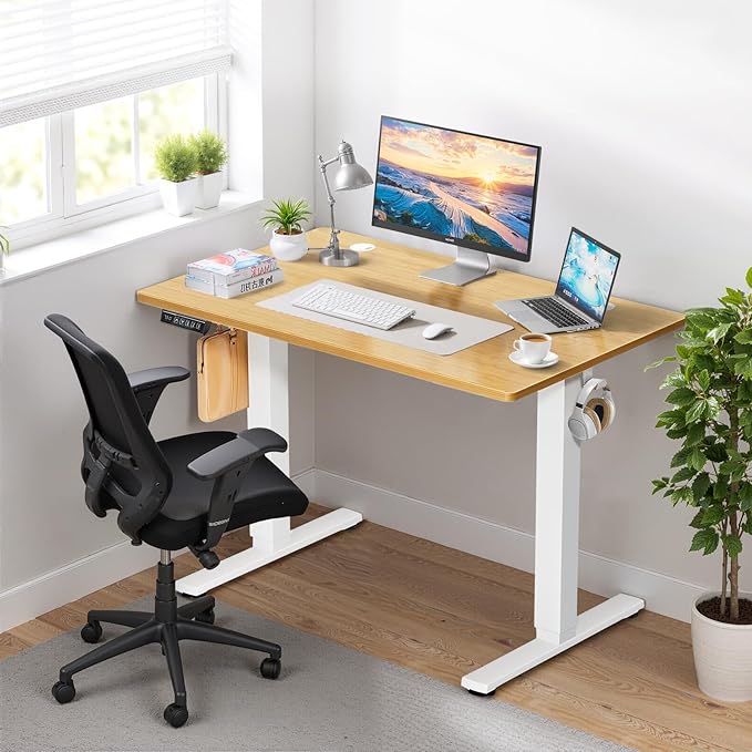 48 x 24 in Electric Standing Desk - Memory Height Adjustable Ergonomic Sit-to-Stand Rising Computer Table Gaming Workstations with 2 Hooks and Wire Hole for Home Office, Natural