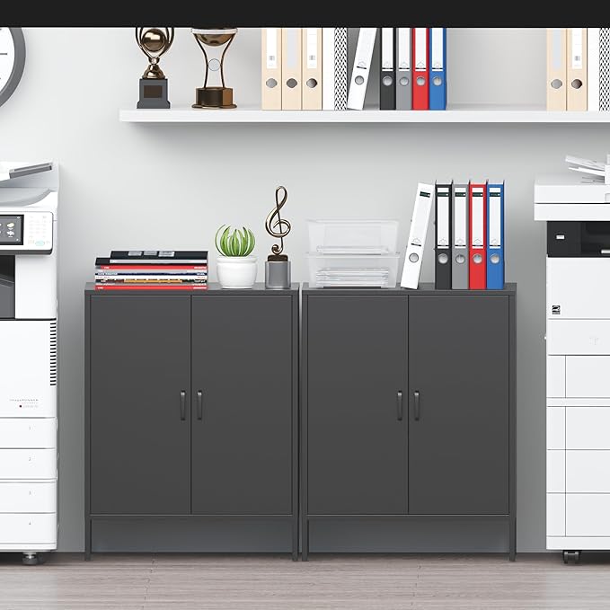 2 Door Metal Storage Cabinet with 2 Shelves, 3 Tier Garage Storage Locker Cabinet for Home, Entryway, Hallway and Office, Assembly Required, Black, (LC-CSG)