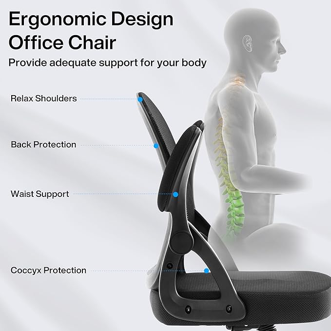 Fizzin Ergonomic Office Desk Chair, Mesh Computer Chair with Adjustable Comfy Flip-up Armrests and Adjustable Lumbar Support, Executive Chairs for Home, Bedroom, Study, Student (Black)