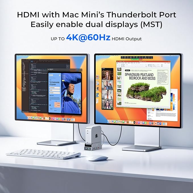 RayCue SmartDock Pro for Mac mini M4 Dock Stand with M.2 NVMe SSD Enclosure, 4K 60Hz HDMI, 10Gbps USB-C/A, Gigabit Ethernet, SD/TF Card Readers – Space-Saving Vertical Hub Compatible with Mac mini