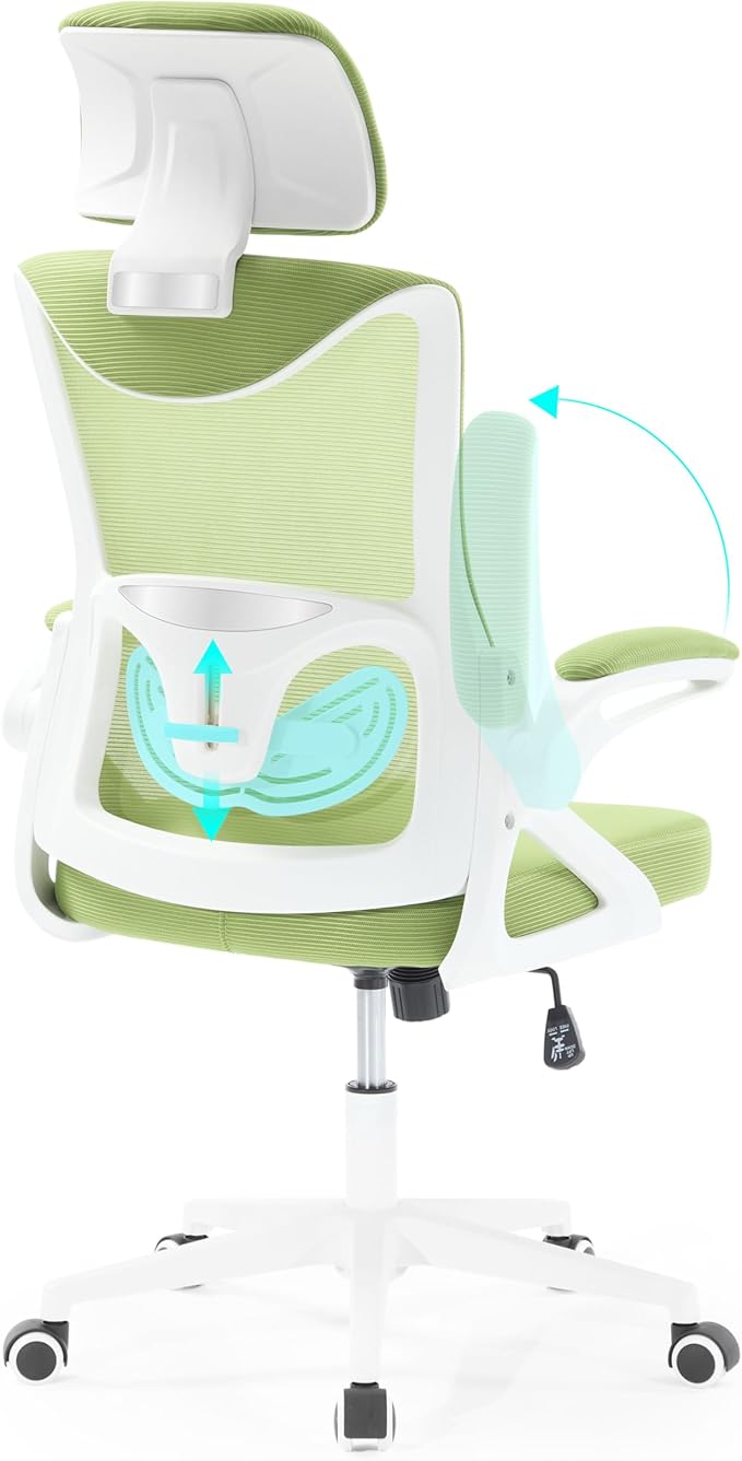 Fizzin Ergonomic Office Chair,Ergonomic Desk Chair with Headrest Mesh Computer Chair with High Back Adjustable Lumbar Support, Rolling Swivel Chairs with Wheel Armrests for Home Office (Green)