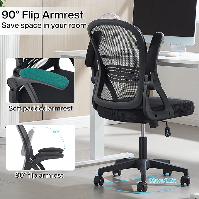 Fizzin Ergonomic Office Desk Chair, Mesh Computer Chair with Adjustable Comfy Flip-up Armrests and Adjustable Lumbar Support, Executive Chairs for Home, Bedroom, Study, Student (Black)
