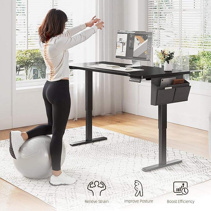 EnHomee 55 x 24 Inches Electric Standing Desk with Light Strip, Stand up Desk with Memory Preset, Height Adjustable Desks for Work Home Office, Computer Desks with Detachable Side Mount Pocket, Black